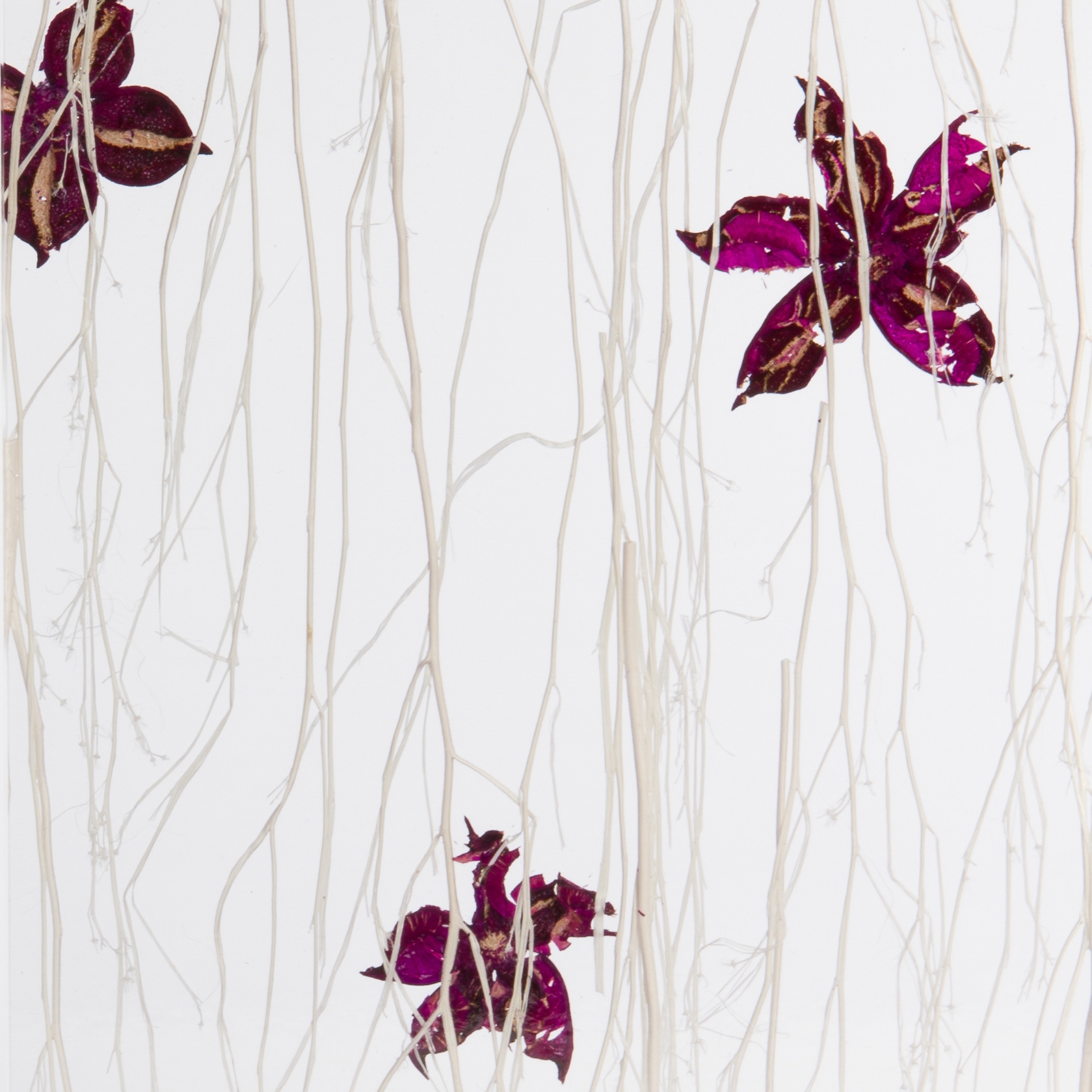 Produkt Invision violet des Herstellers DesignPanel anzeigen