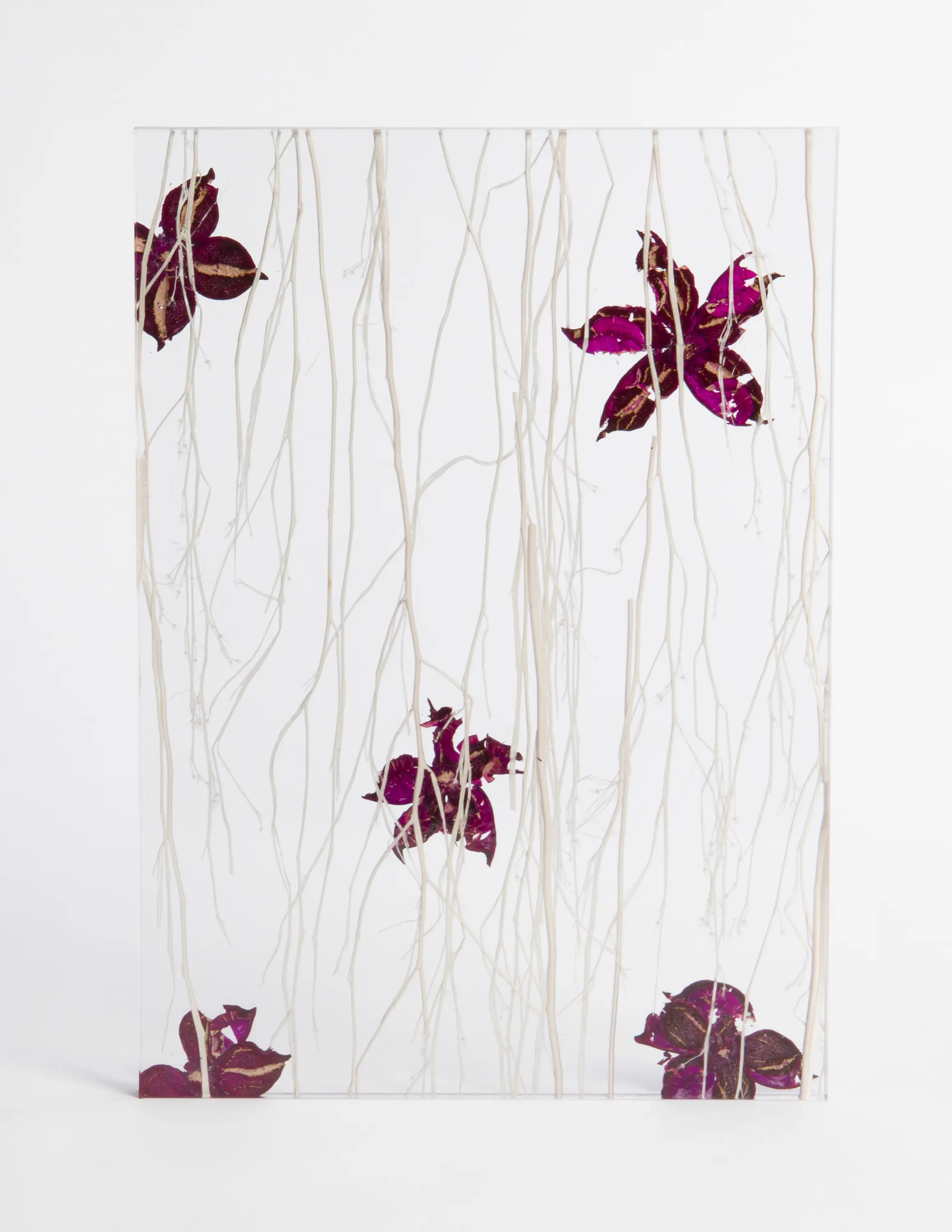 DesignPanel - Invision violet