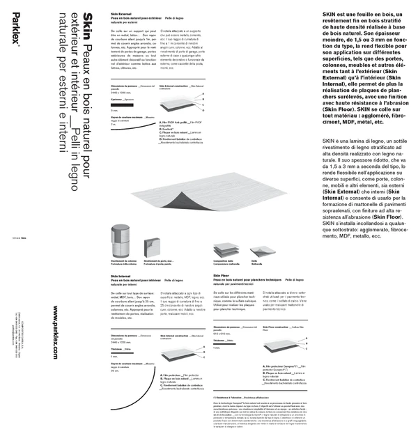 Preview image for the file Skin 2013 (FR, IT)