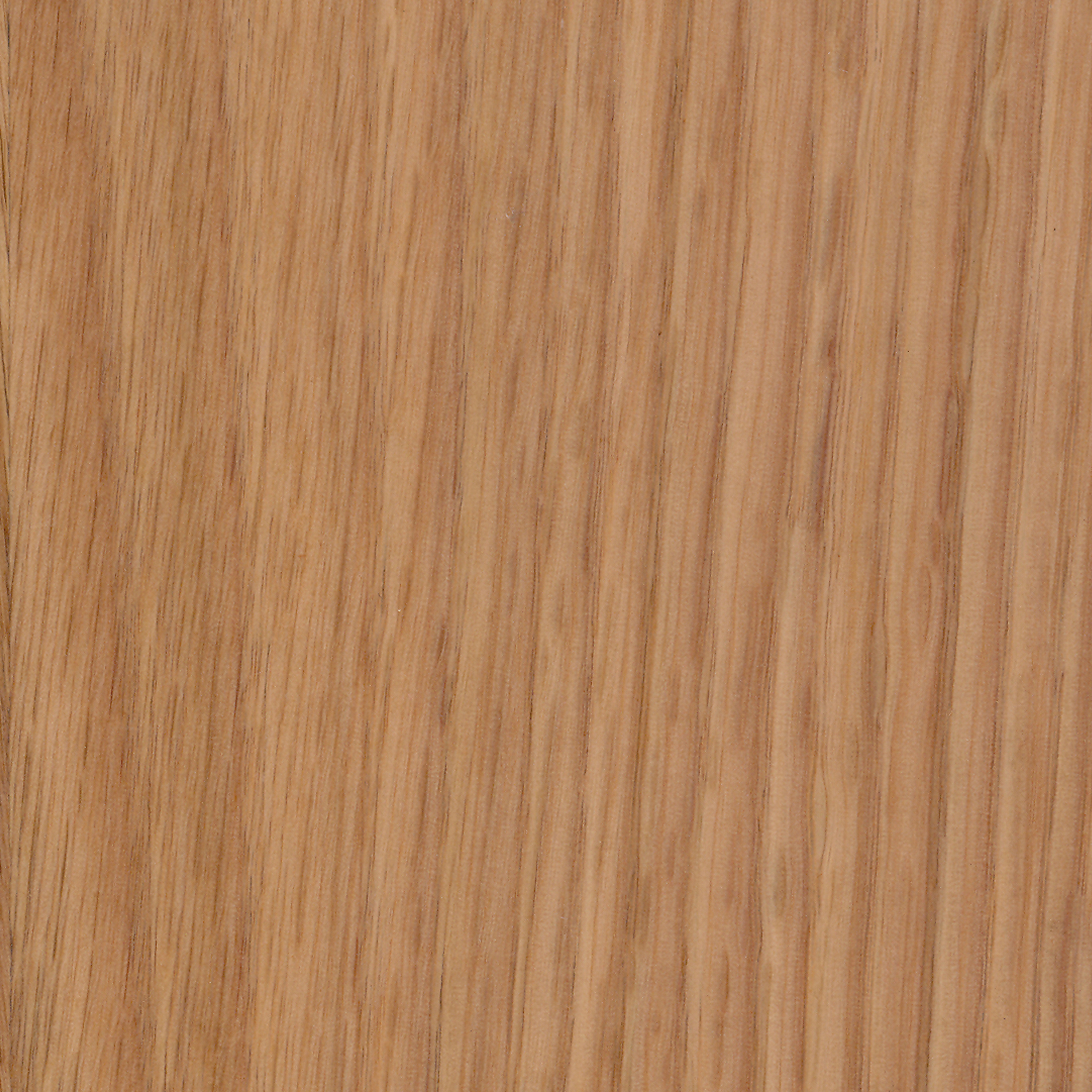Vertoon produk Parklex Finish | Natural Oak van vervaardiger Parklex Prodema