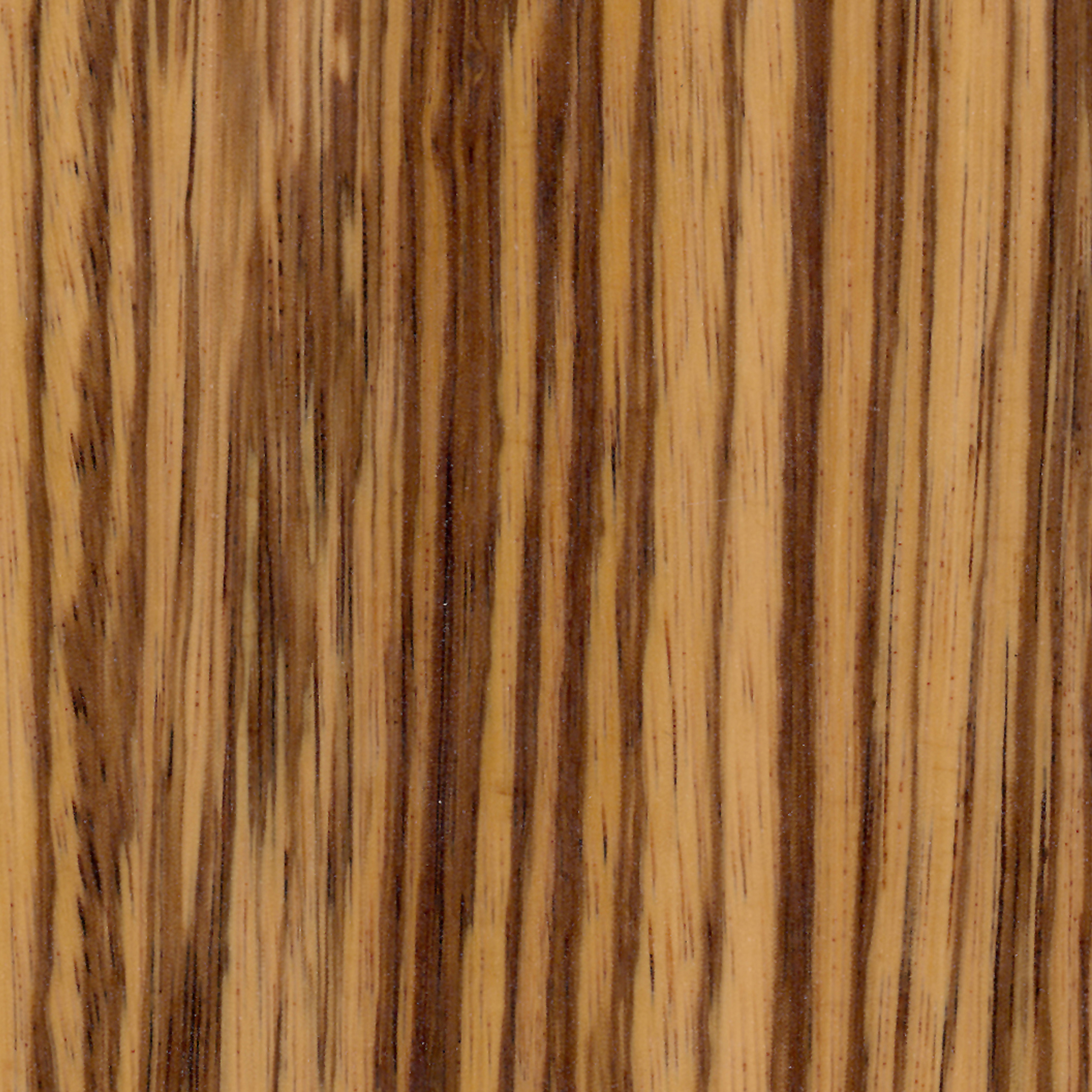 Vertoon produk Parklex Finish | Natural Zebrano van vervaardiger Parklex Prodema