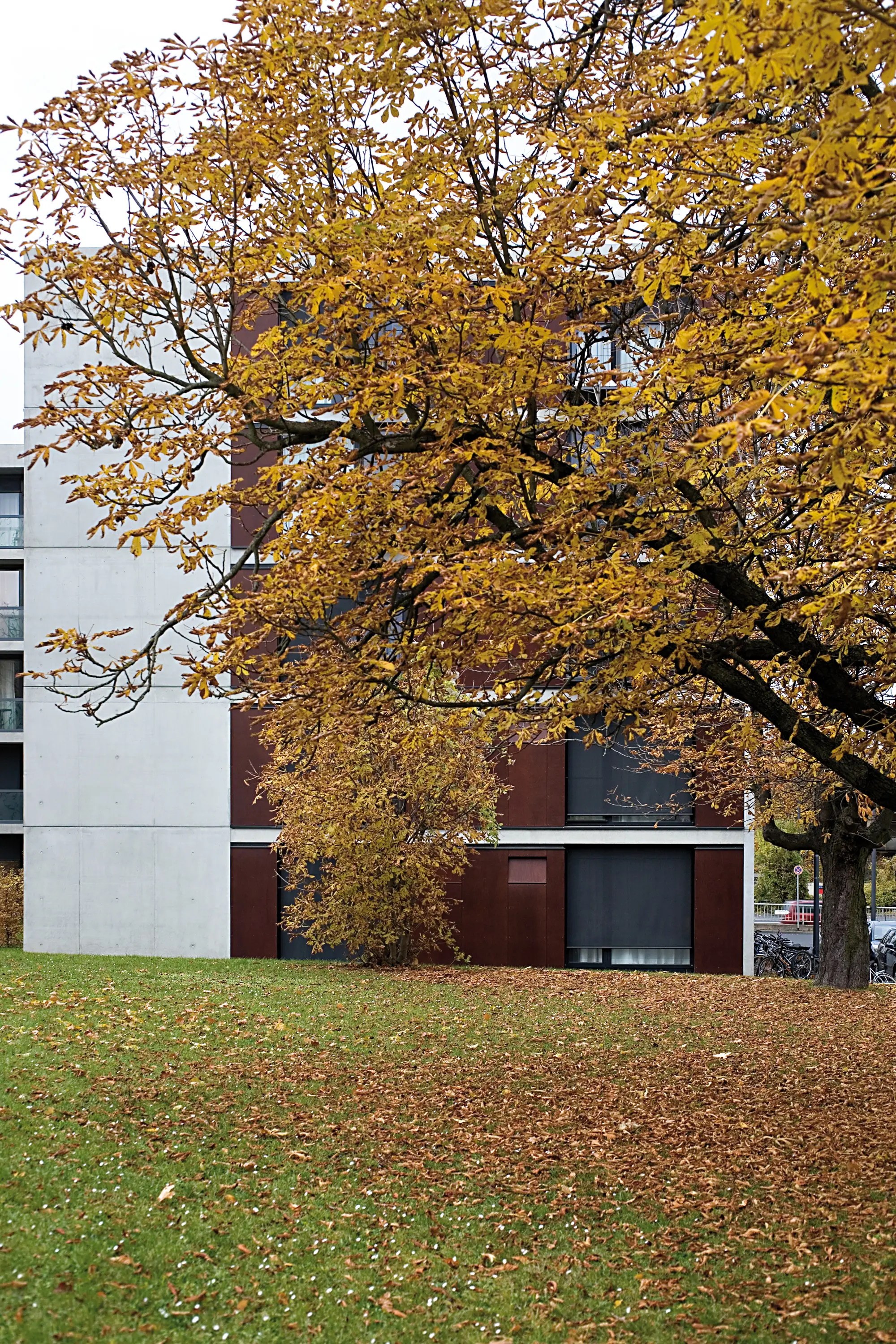 Parklex Prodema - Parklex Facade | Onix