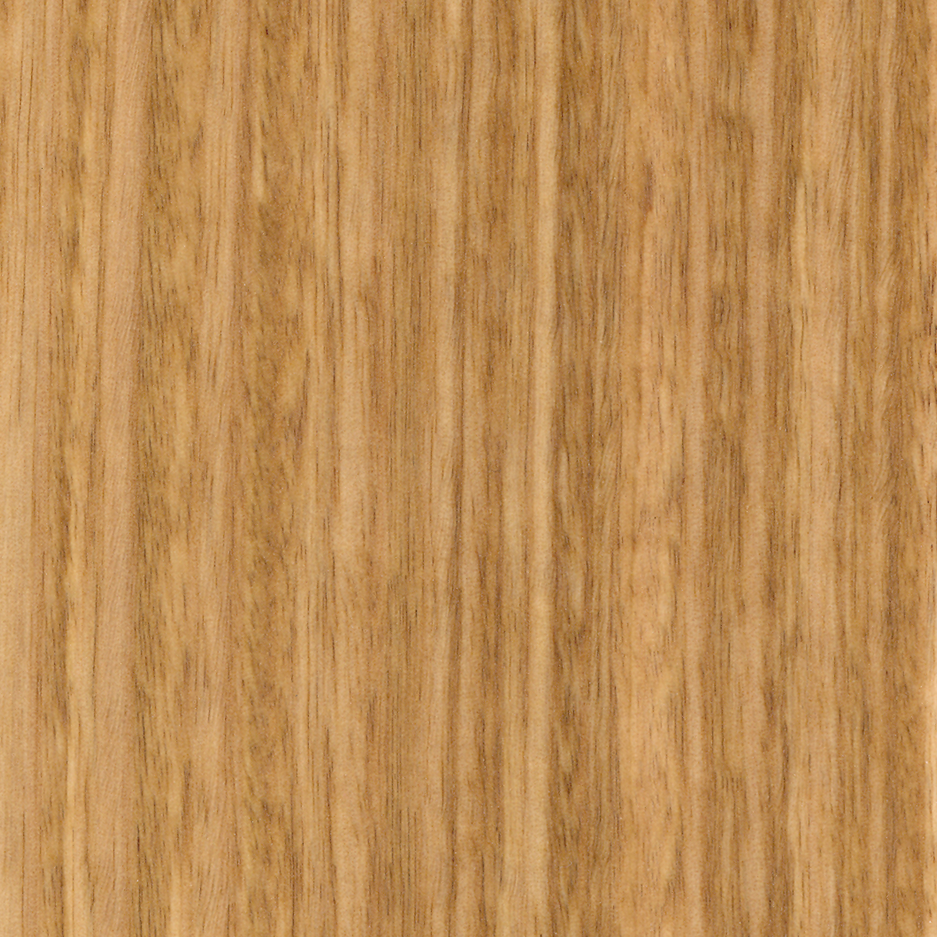 Display product Parklex Walls and Ceilings Finish | Eucalyptus from manufacturer Parklex Prodema