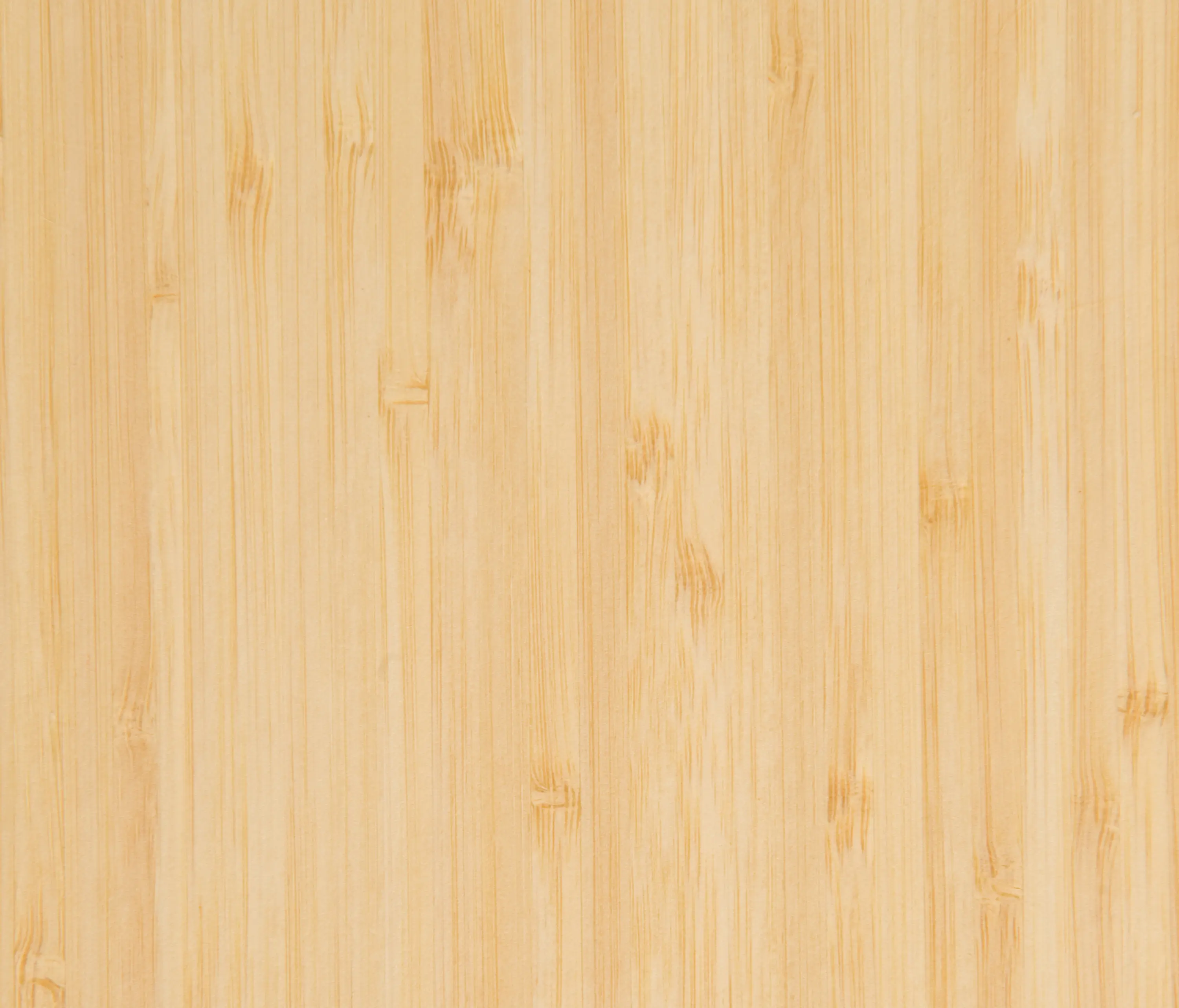 gallery-slide-0