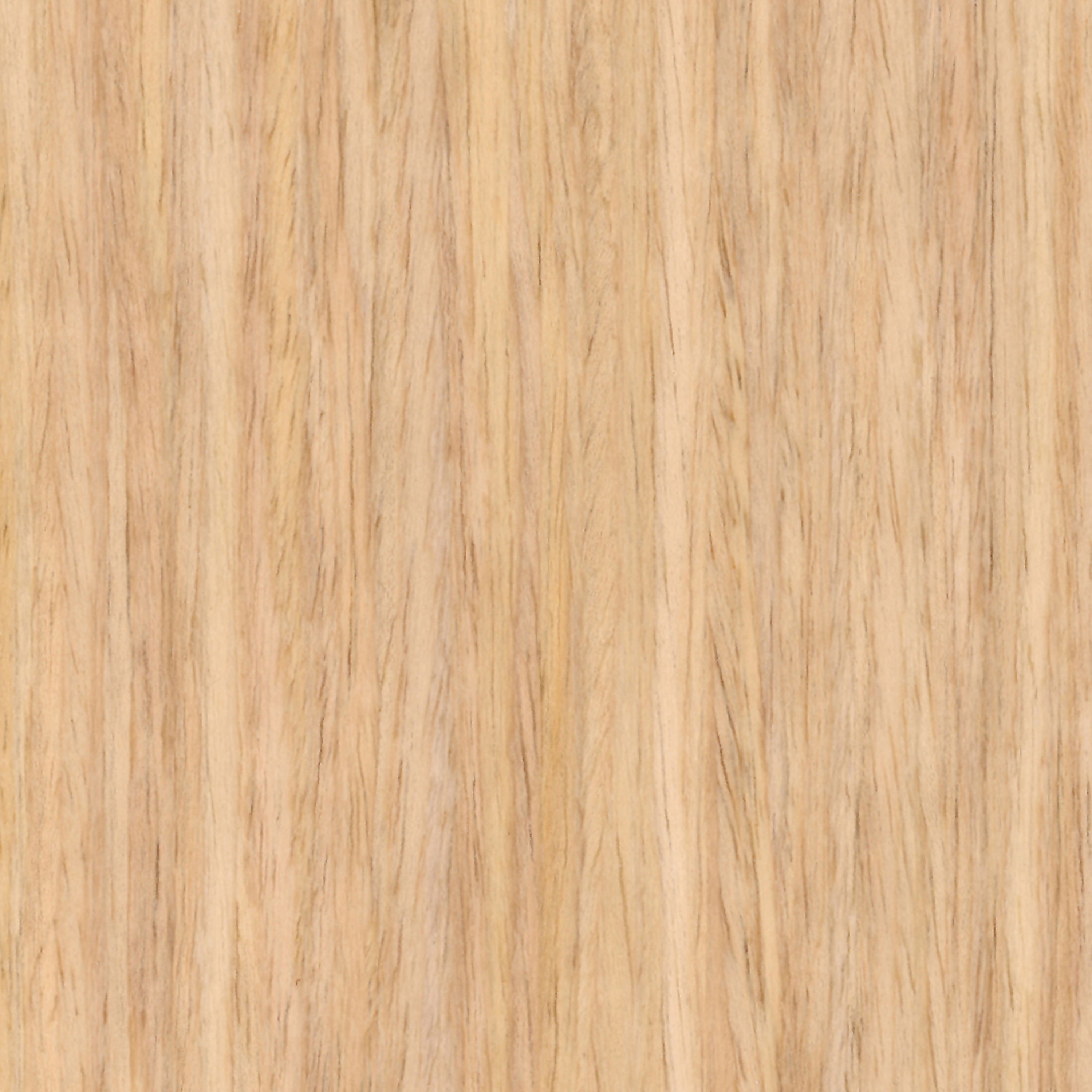 Display product Parklex Skin Finish | Reconstituted Oak from manufacturer Parklex Prodema