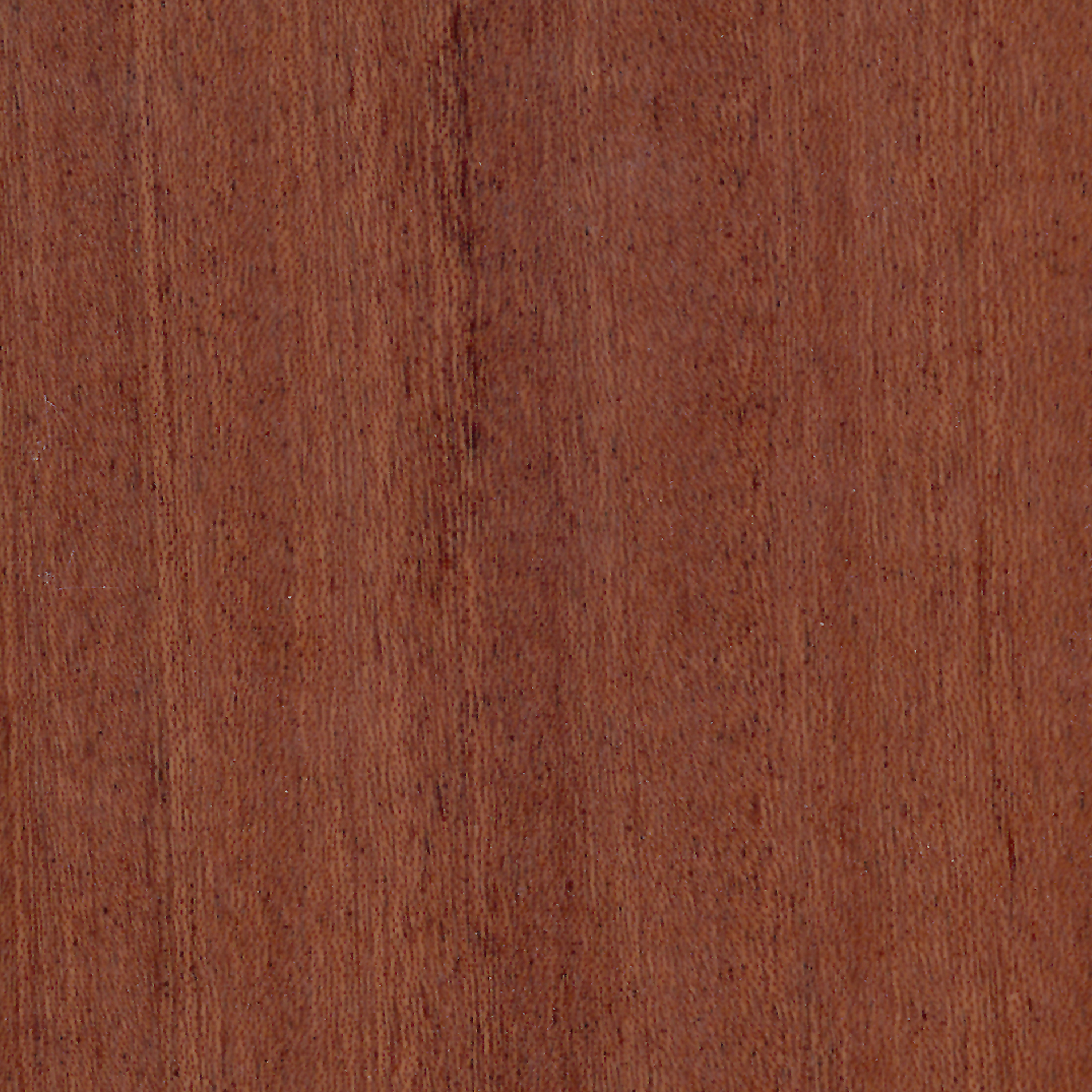 Display product Parklex Skin Finish | Sapelli from manufacturer Parklex Prodema