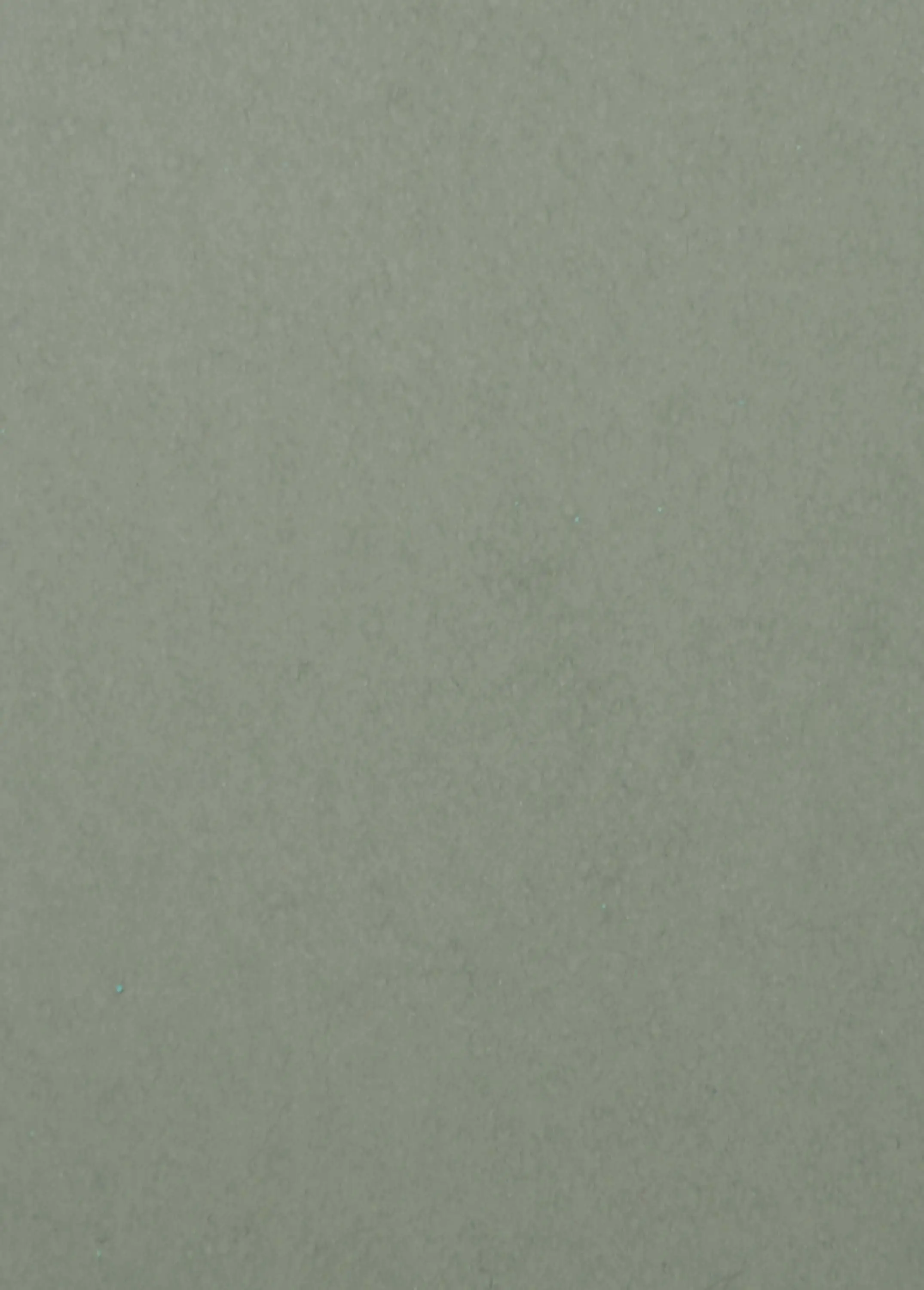 Inox Schleiftechnik - Nordic Green