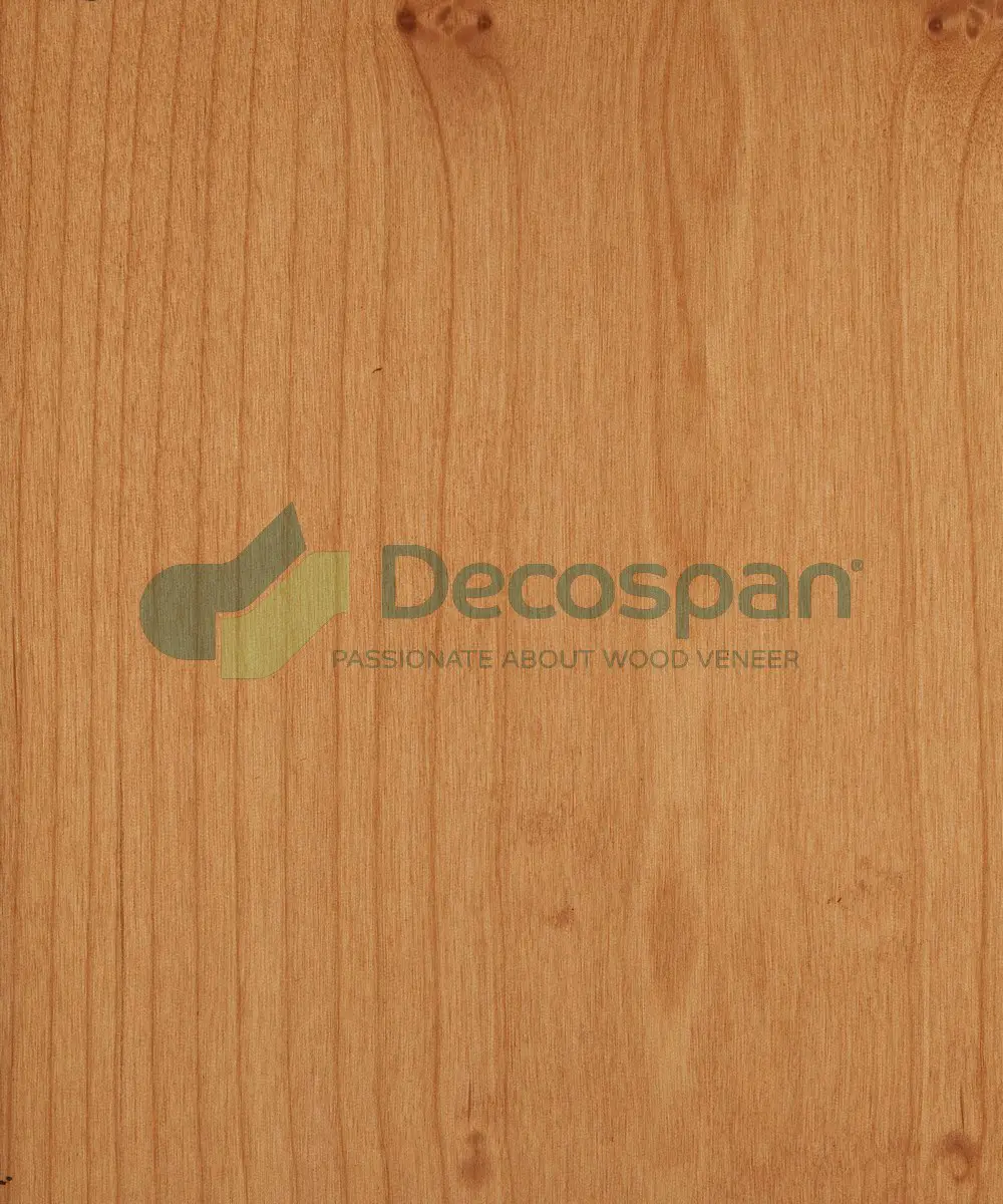 Decospan - Decospan Alder Red