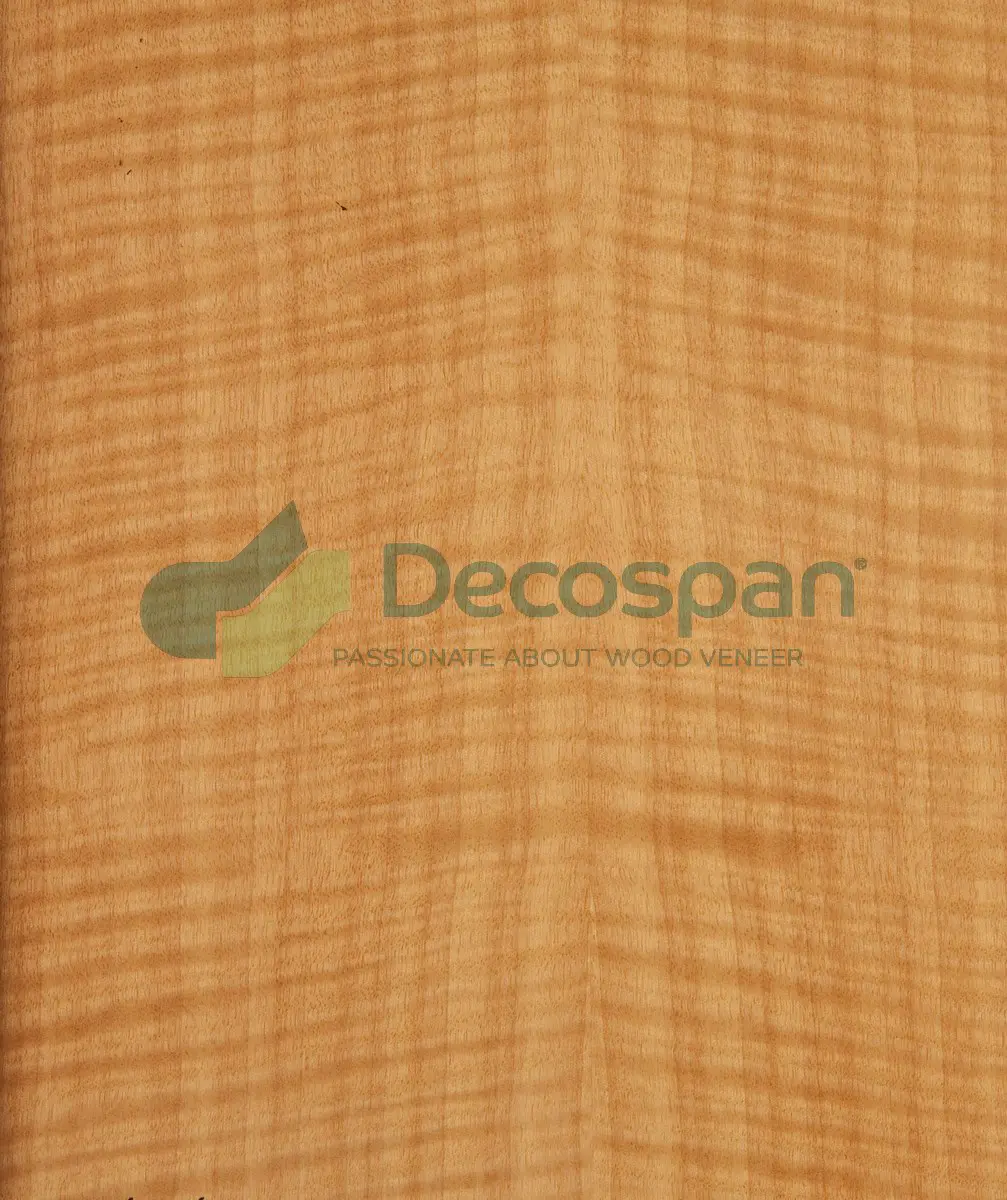 Decospan - Decospan Anegre Figured