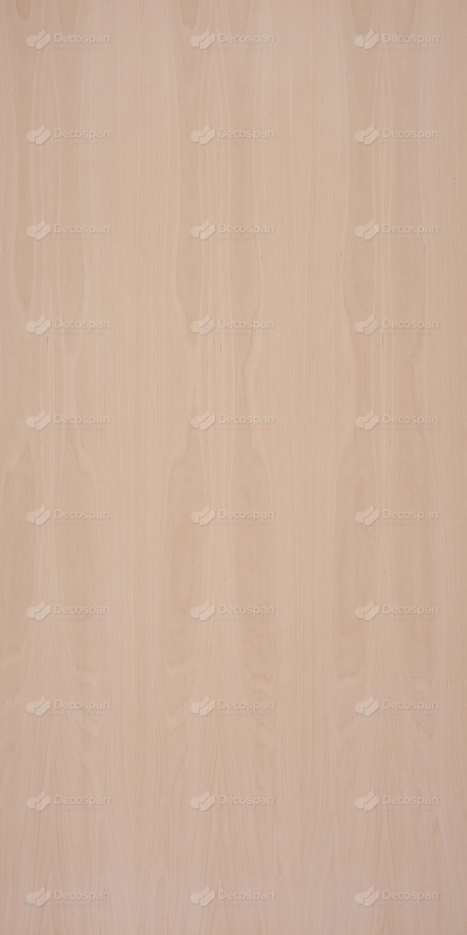 Decospan - Decospan Beech Steamed