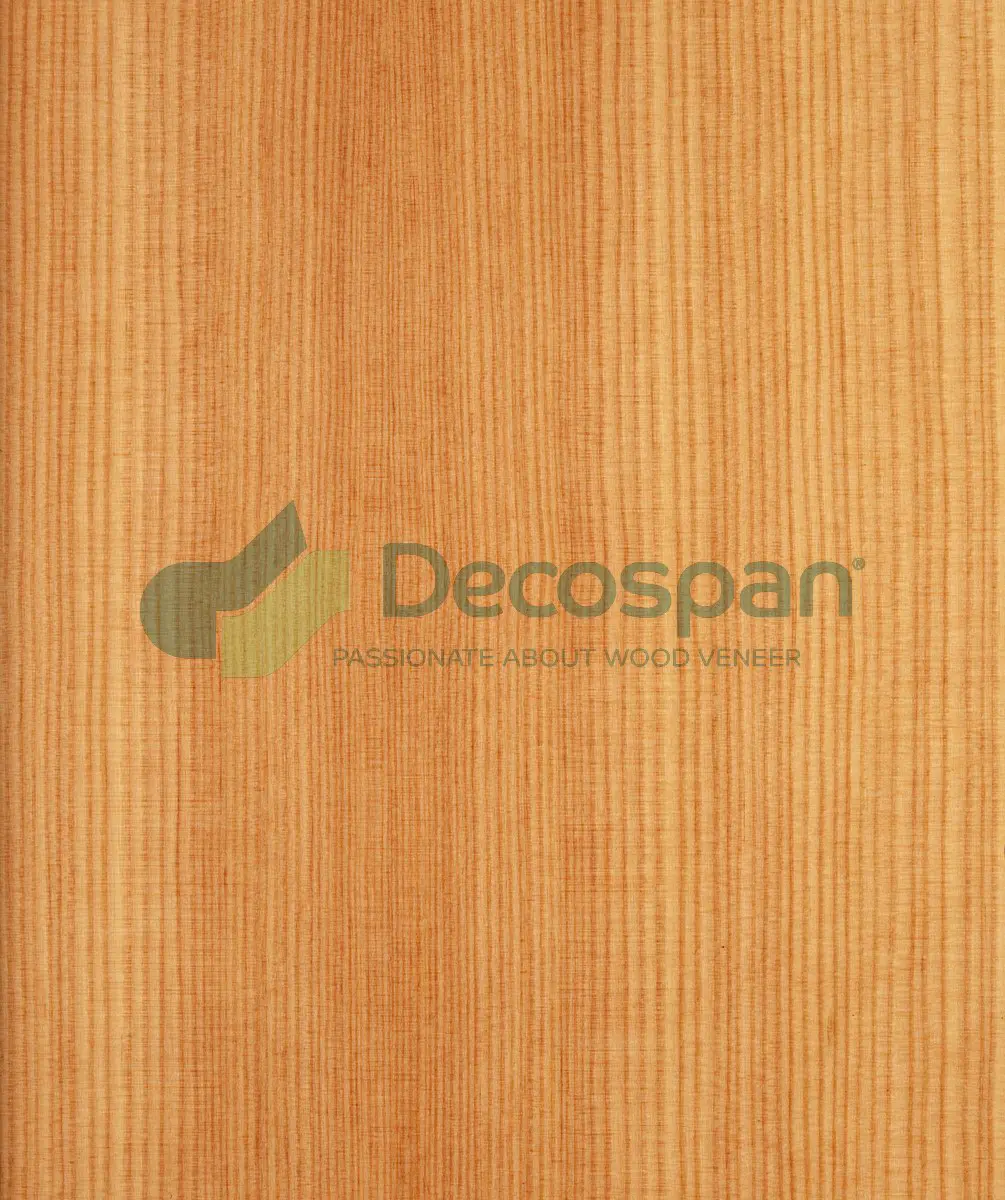 Decospan - Decospan Larch