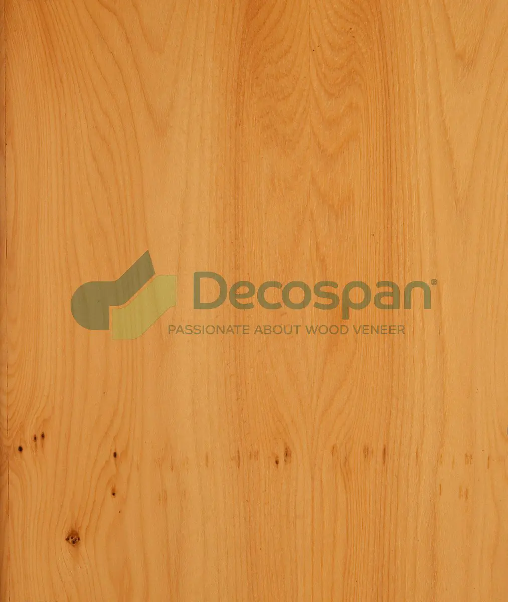 Decospan - Decospan Yew