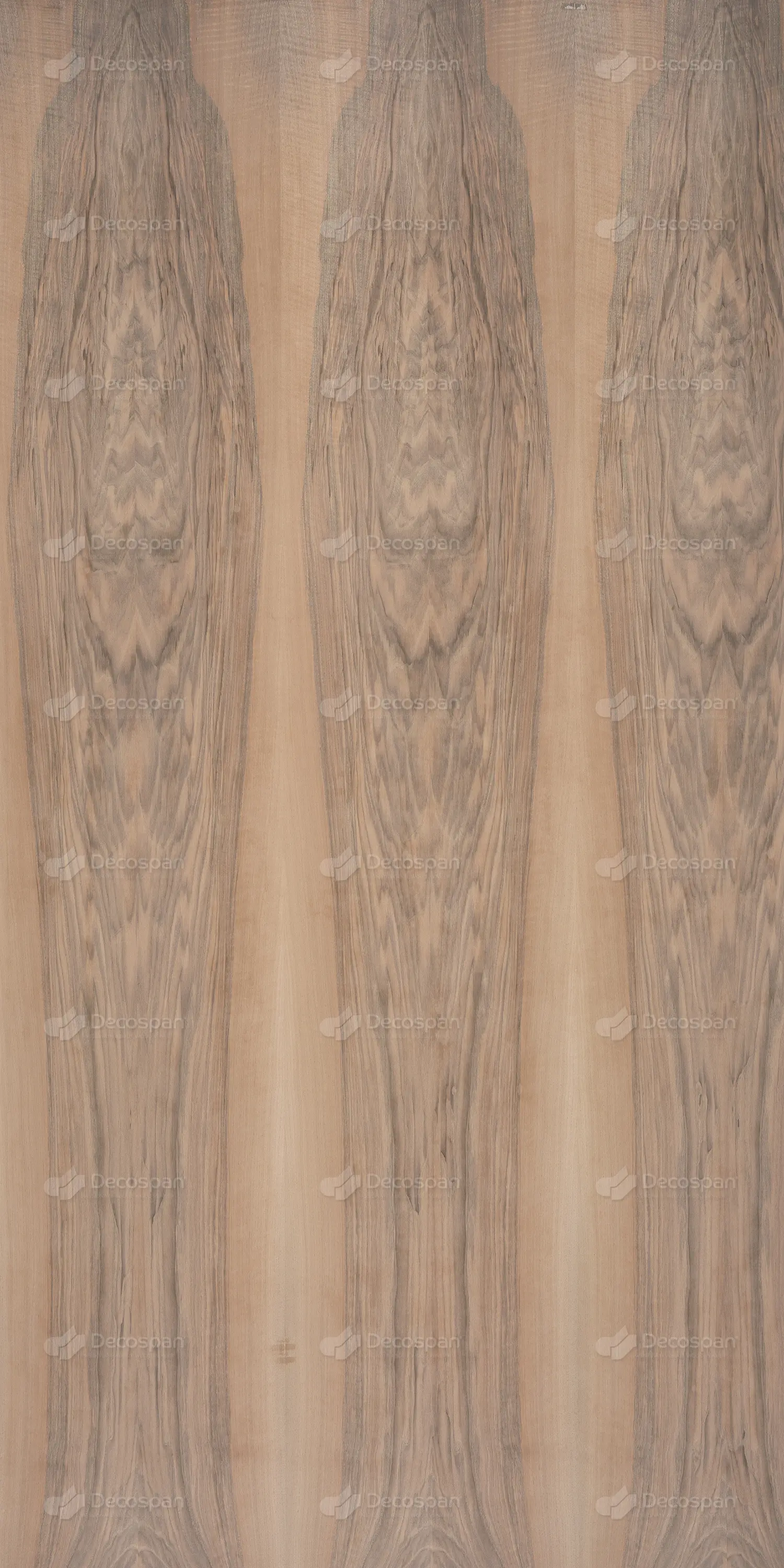 Decospan - Decospan Walnut European