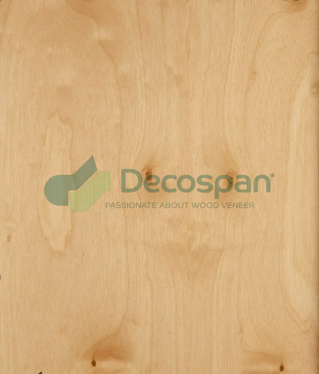 Decospan - Decospan Birch Appled