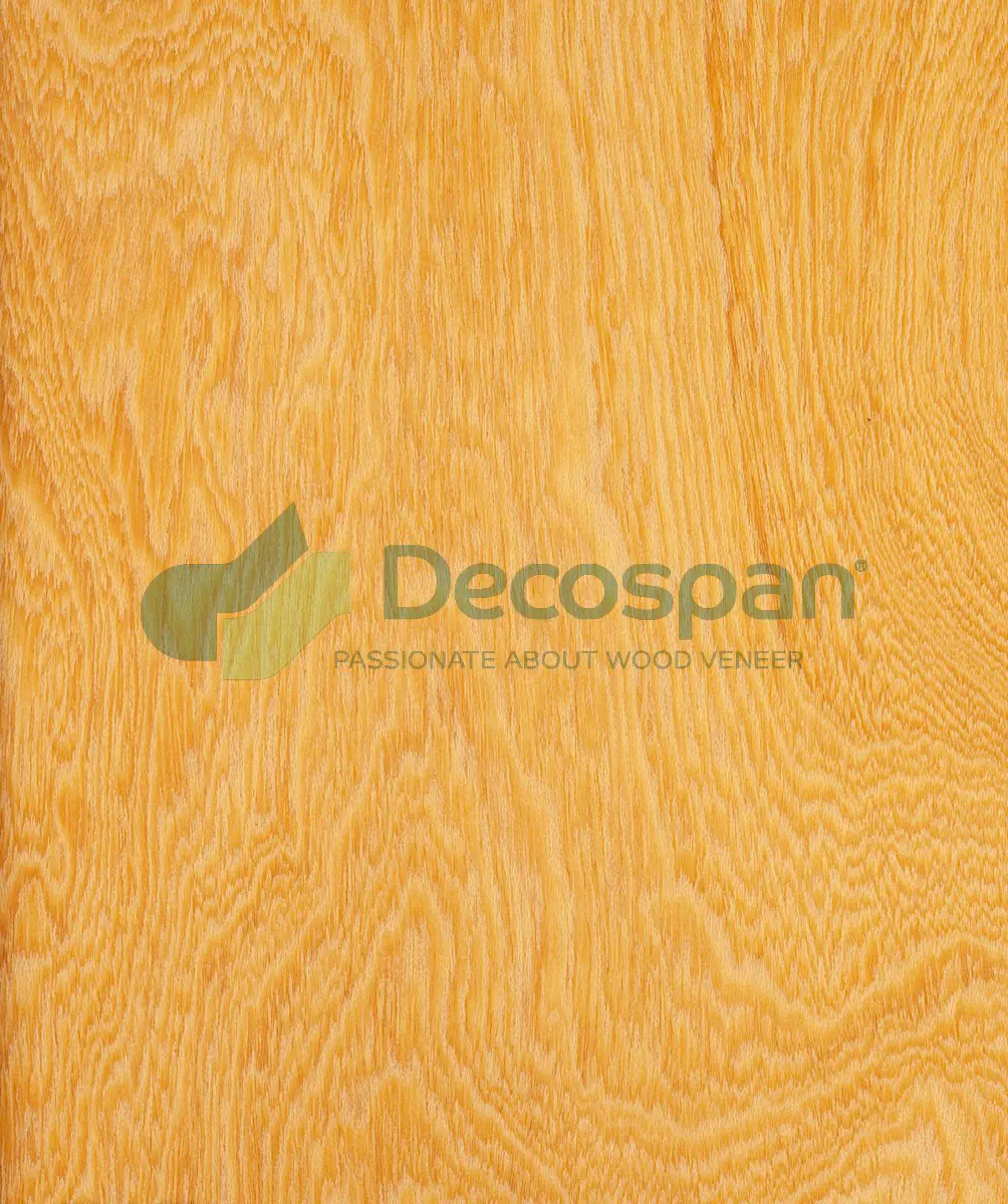 Decospan - Decospan Eyong Rotary