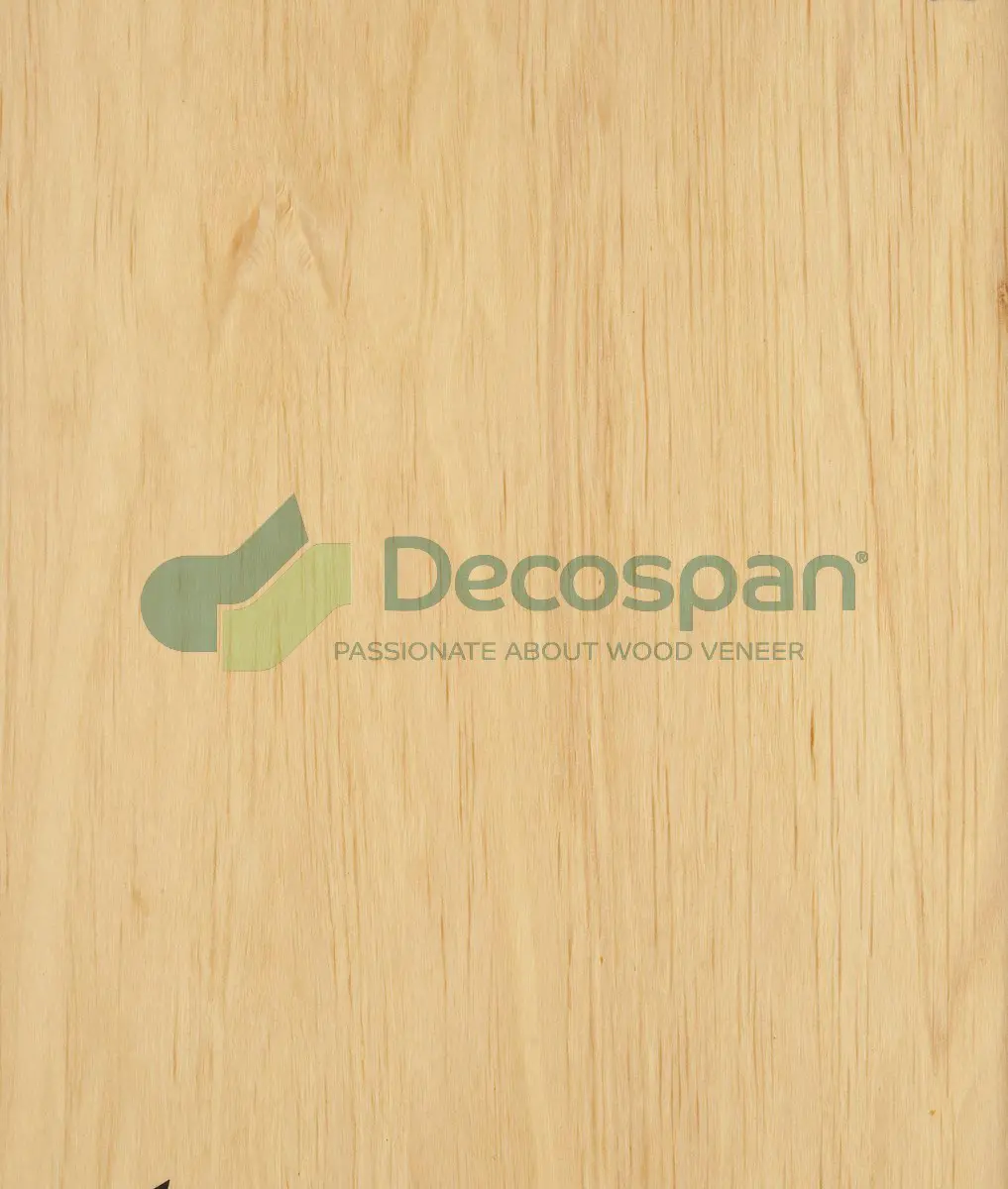 Decospan - Decospan Hornbeam