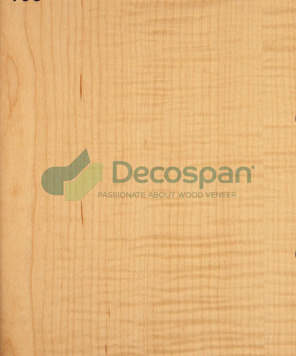 Decospan - Decospan Maple Figured