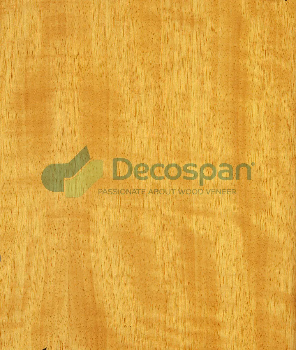 Decospan - Decospan Movingui
