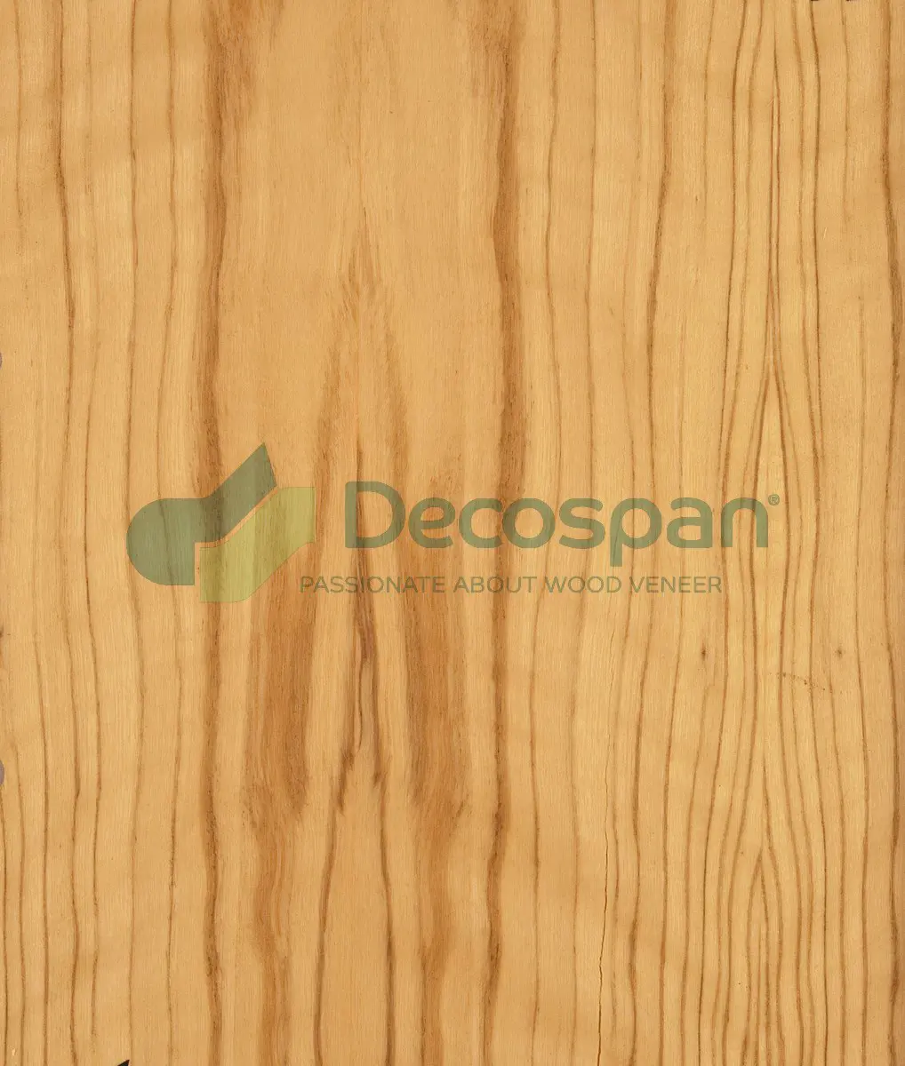 Decospan - Decospan Olive
