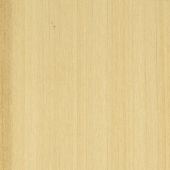 Mostra il prodotto Decospan Poplar Us del produttore Decospan