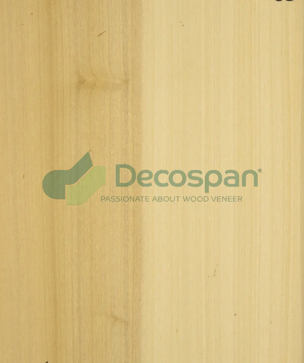 Decospan - Decospan Poplar Us