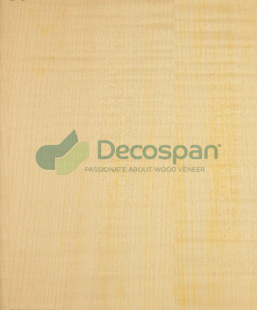 Decospan - Decospan Sycamore Figured