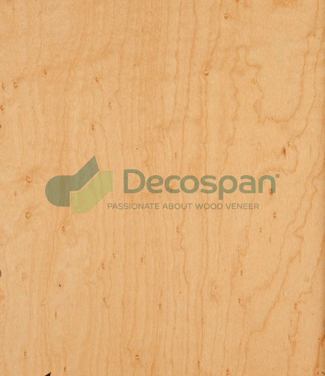 Decospan - Decospan Birds-Eye Maple