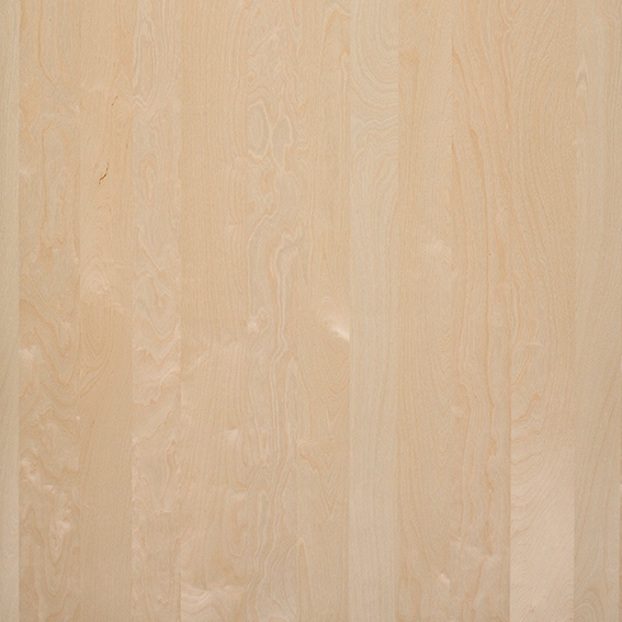 Mostra il prodotto Nordus Snow Birch del produttore Decospan