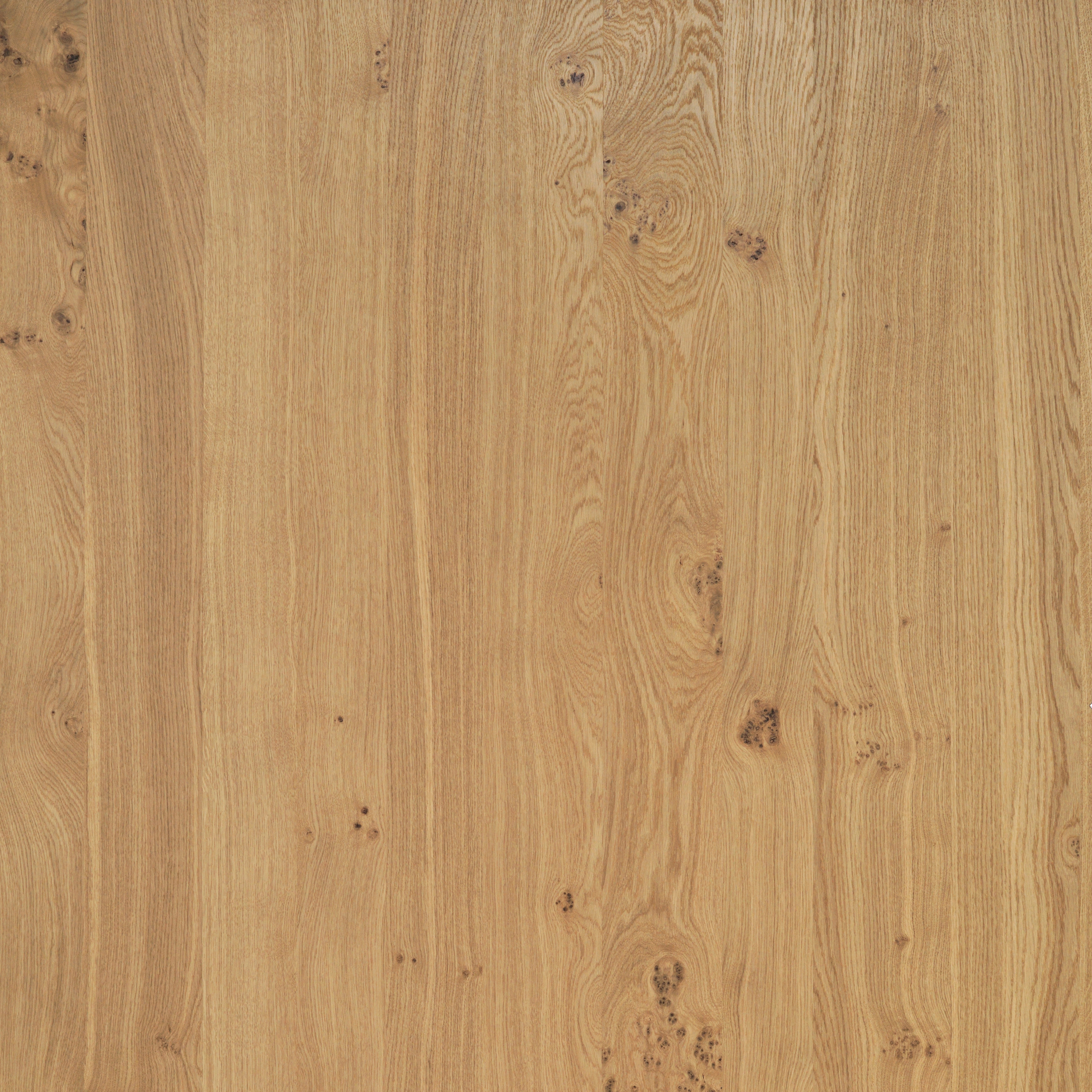Mostra il prodotto Querkus Oak Naturel Vivace del produttore Decospan