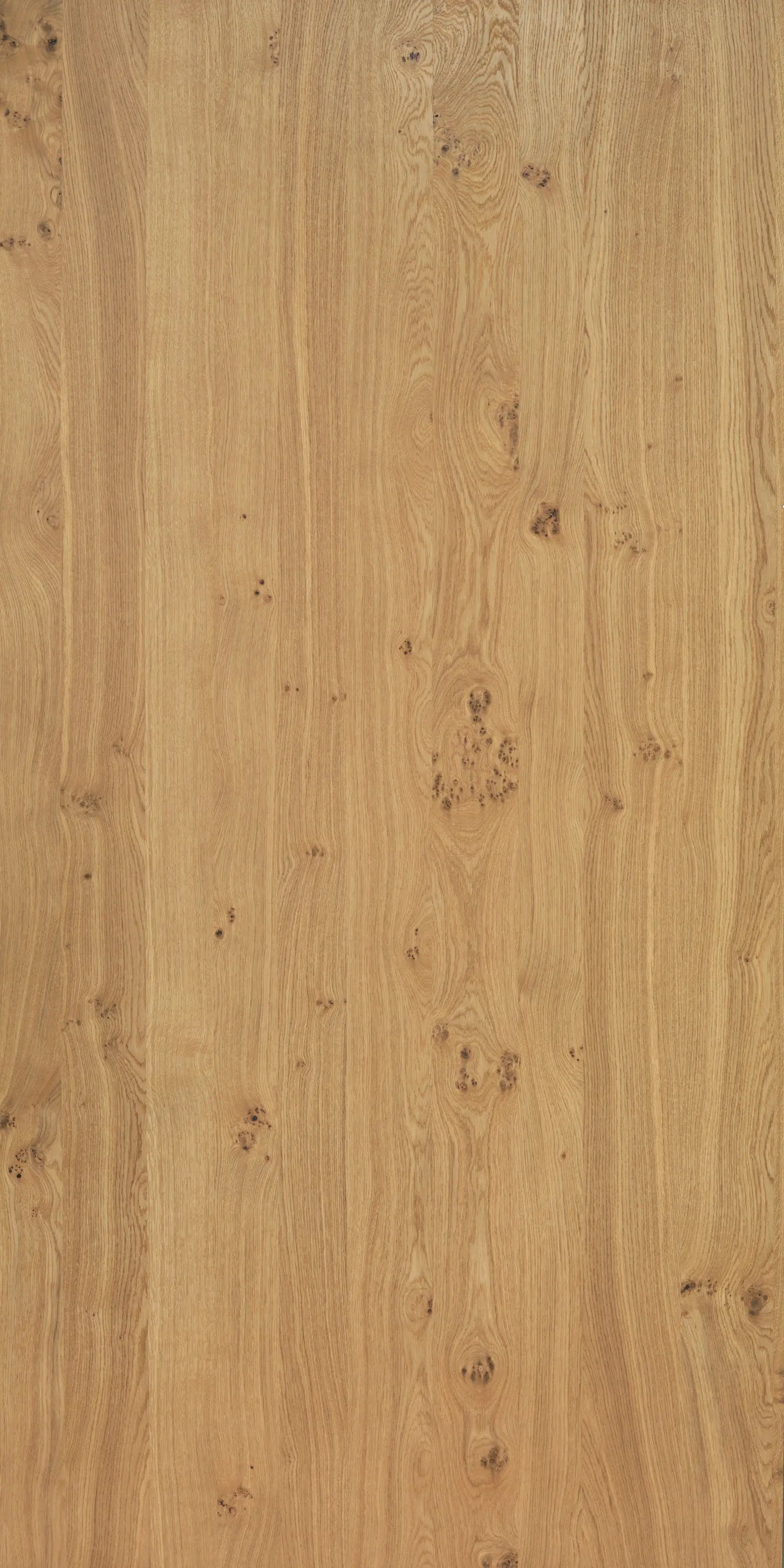 Decospan - Querkus Oak Naturel Vivace
