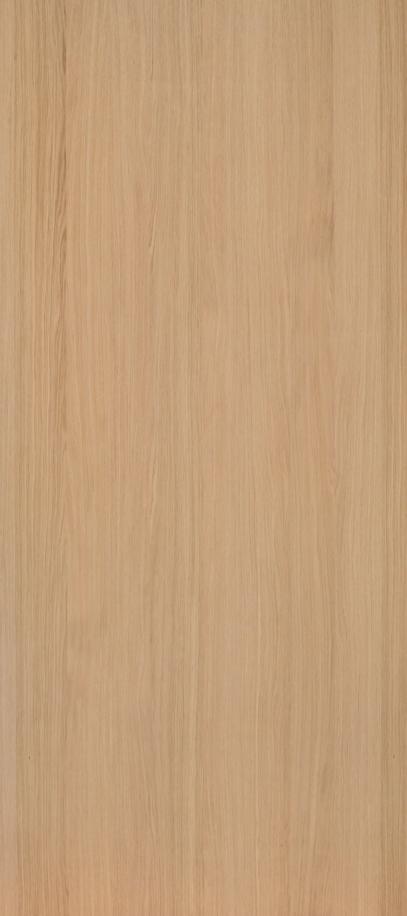 Decospan - Shinnoki Ivory Oak