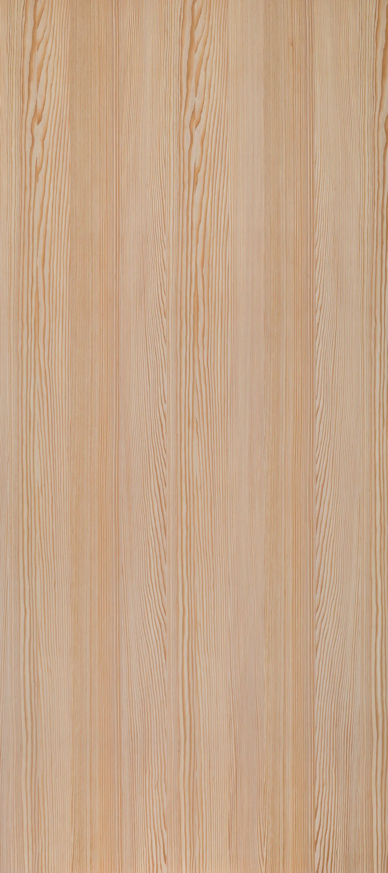 Decospan - Shinnoki Vanilla Larch