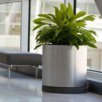 Mostrar el producto Universal Planter del fabricante Forms+Surfaces®