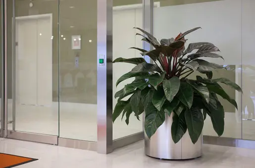 Forms+Surfaces® - Universal Planter