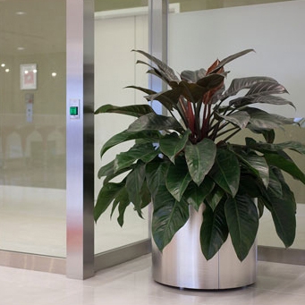 Display product Universal Planter from manufacturer Forms+Surfaces®
