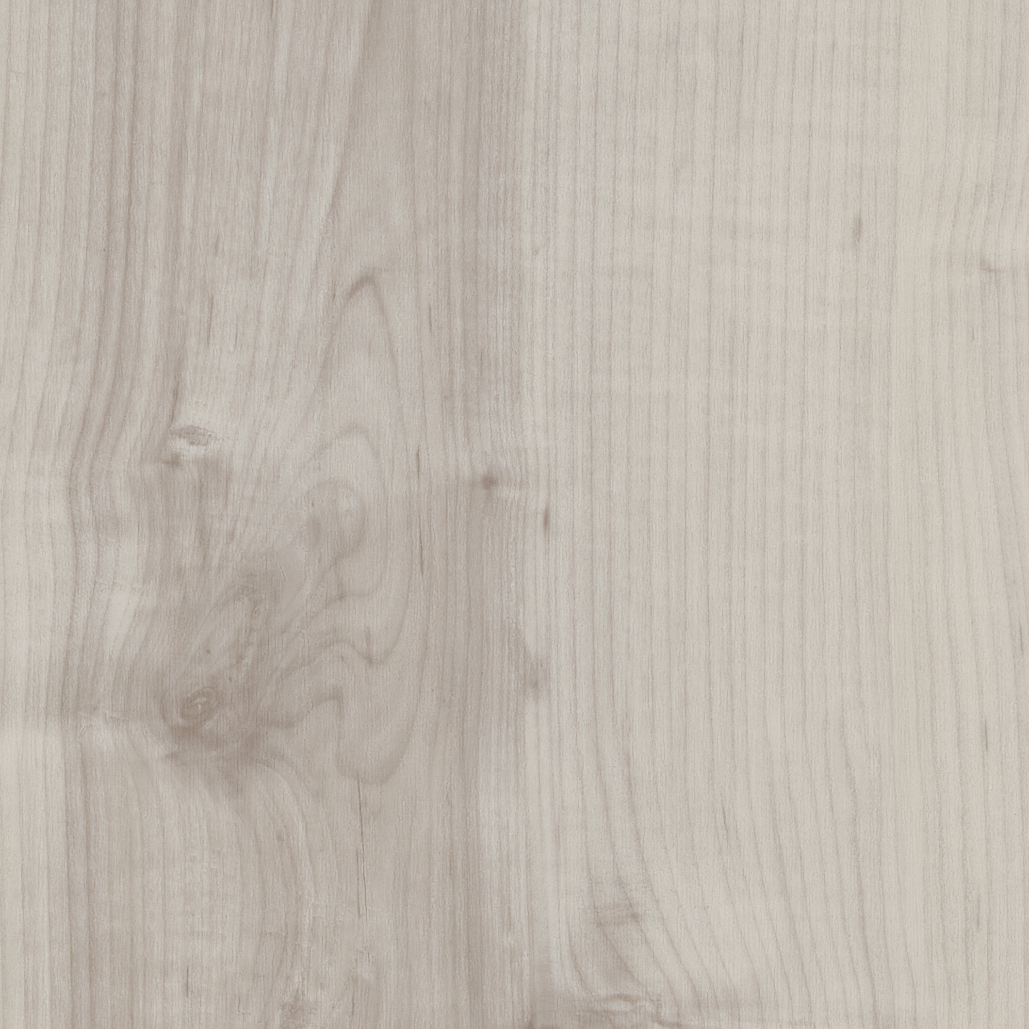 Solid Tundra