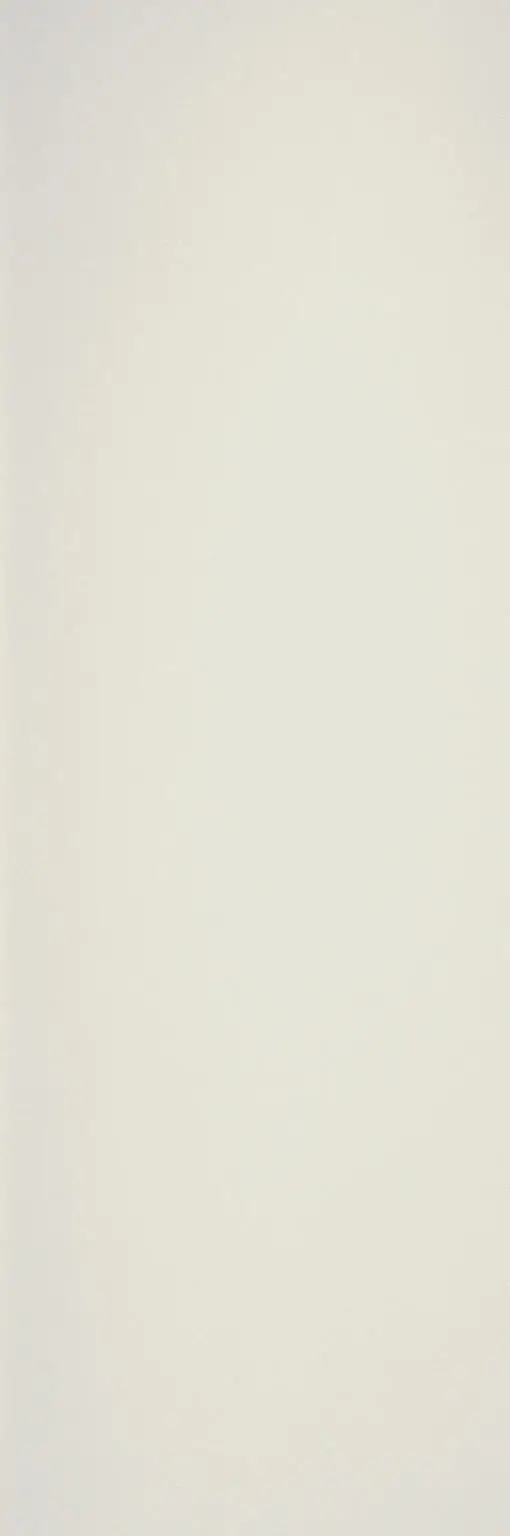 Laminam - Collection - Neve