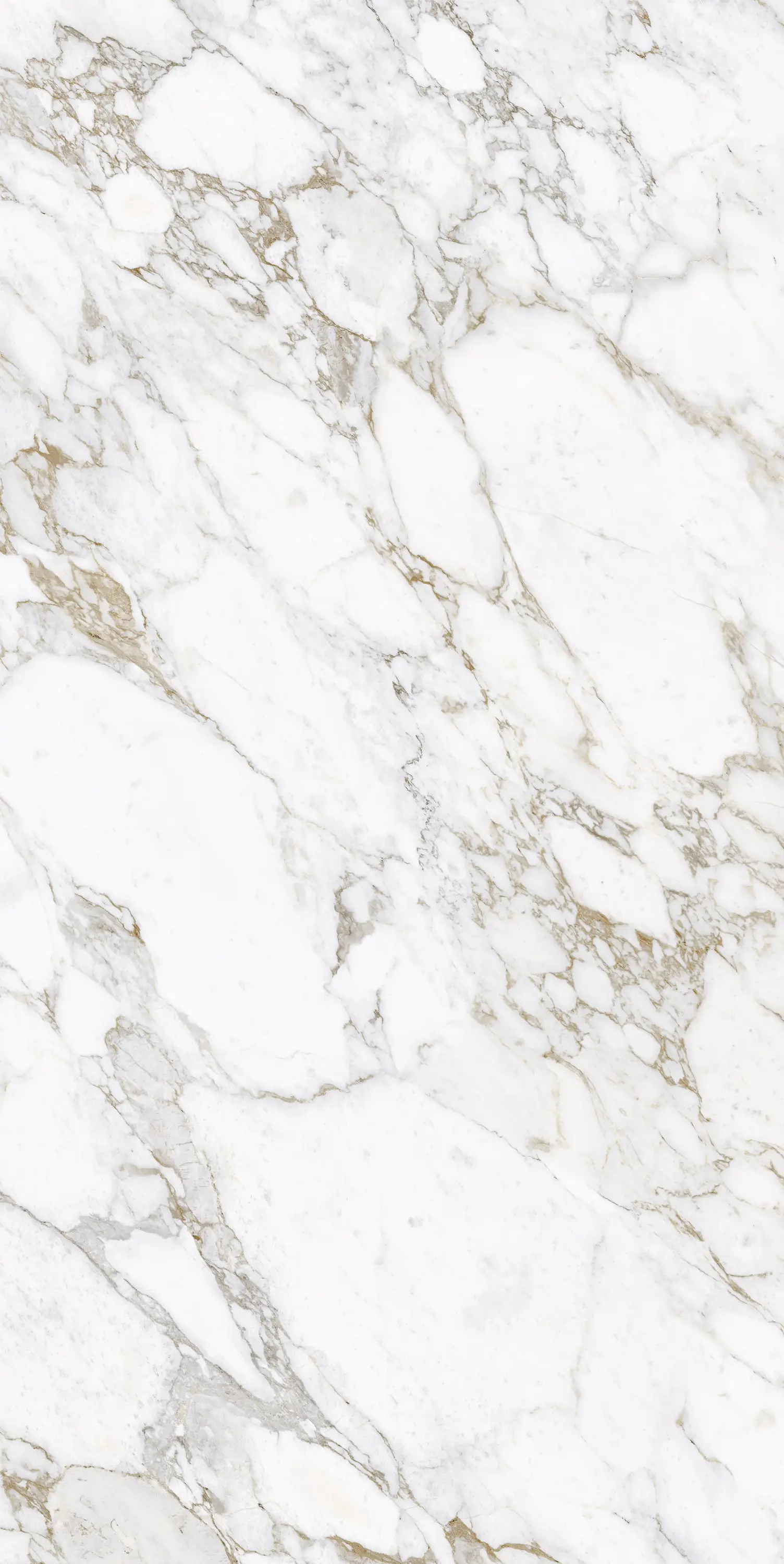 Laminam - I Naturali - Arabescato Gold