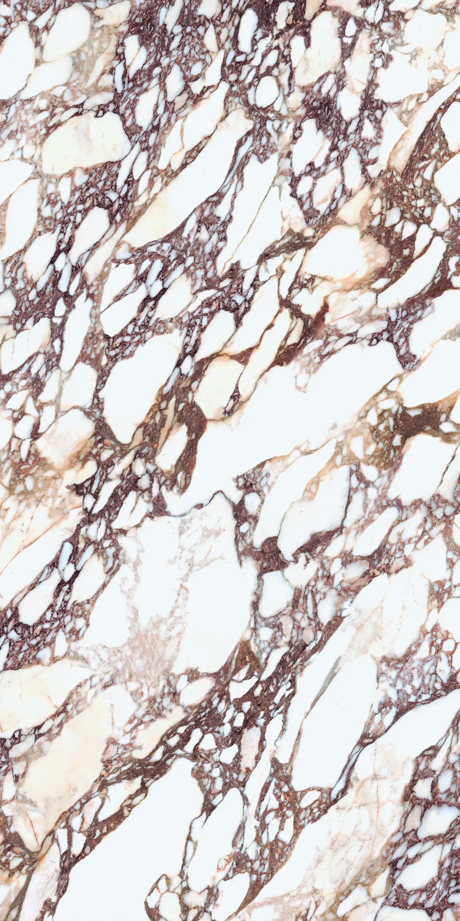 Laminam - I Naturali - Calacatta Viola Book Match