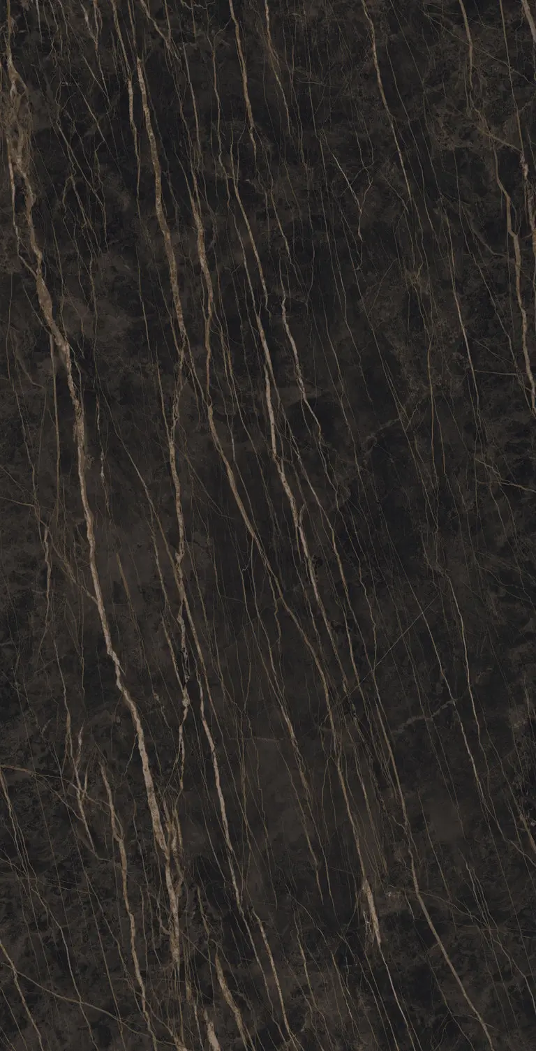 Laminam - I Naturali - Noir Desir