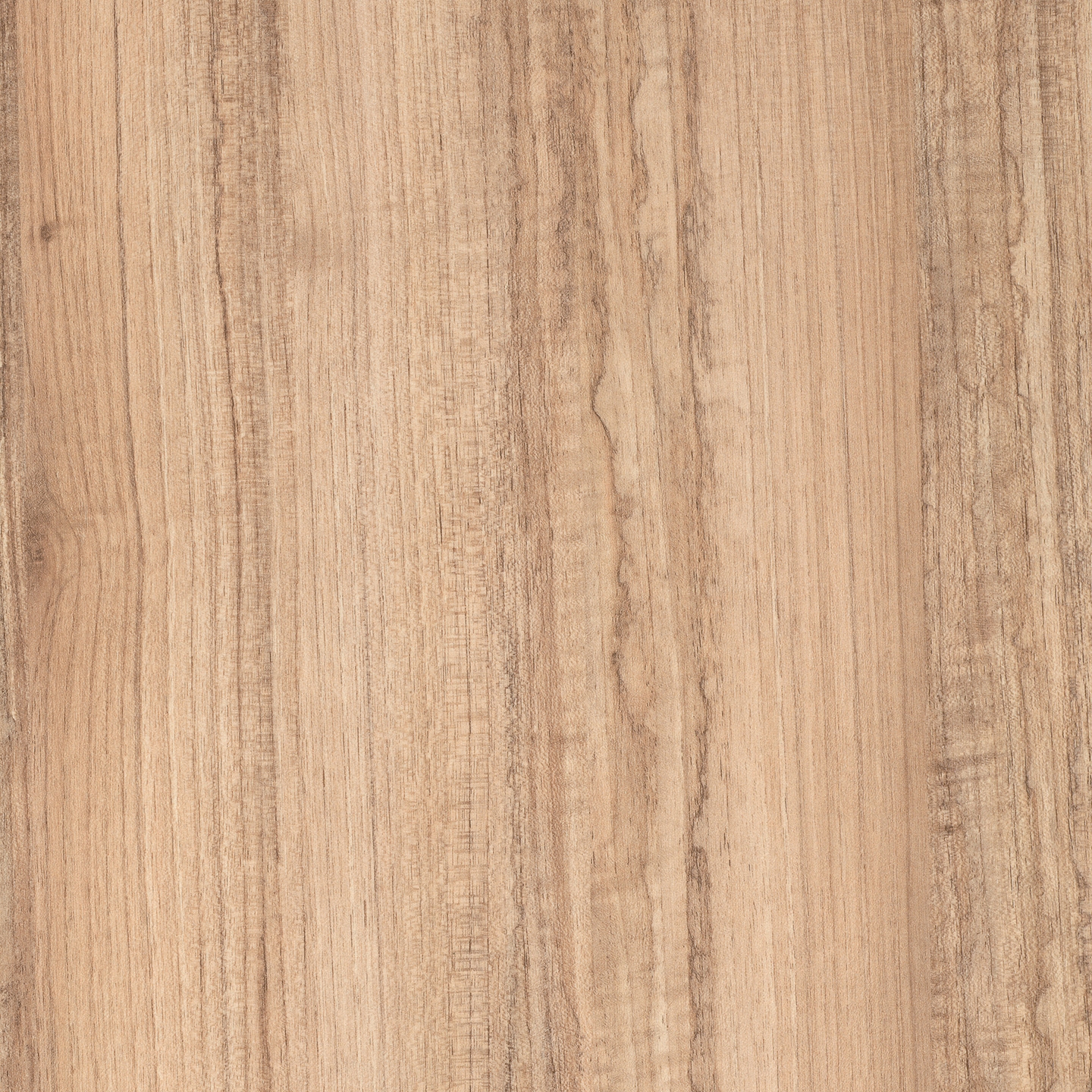 Display product RESOPAL Woods | Washy Elm from manufacturer Resopal