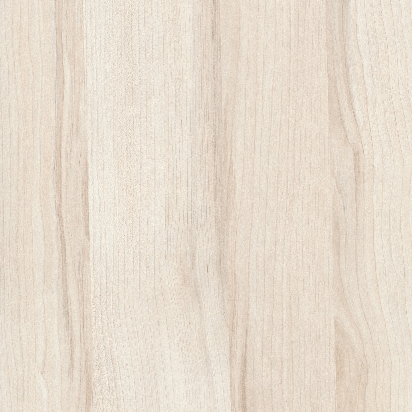 Vertoon produk RESOPAL Woods | Creme Wood van vervaardiger Resopal