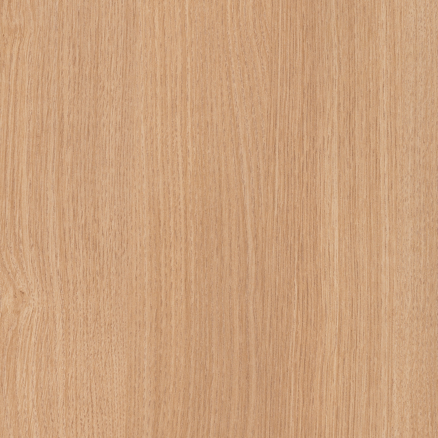 Display product RESOPAL Woods | Sol Oak from manufacturer Resopal