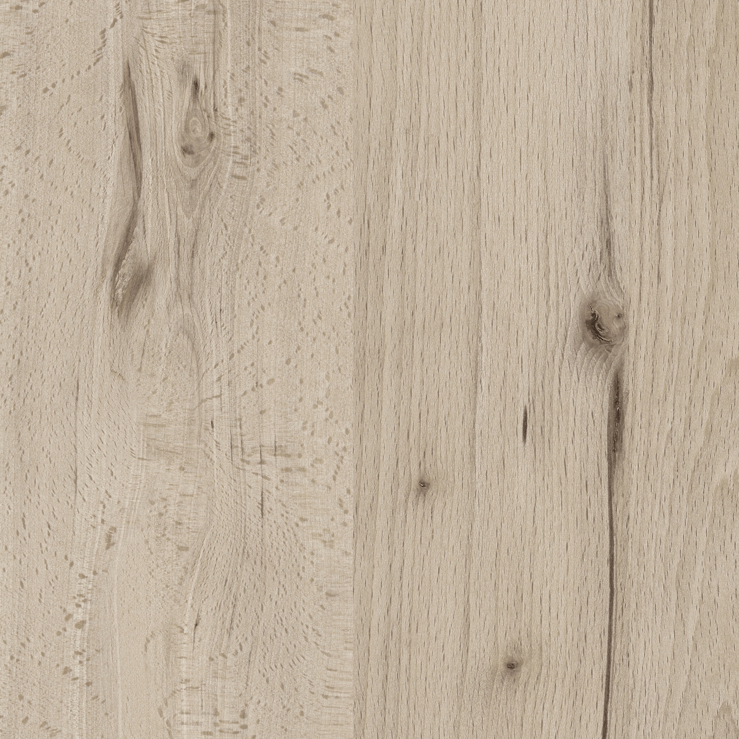 Display product RESOPAL Woods | Sugar Beech from manufacturer Resopal