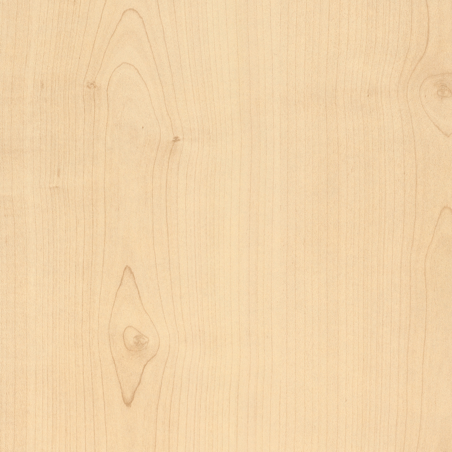 Mostra il prodotto RESOPAL Woods | Ottawa Maple del produttore Resopal