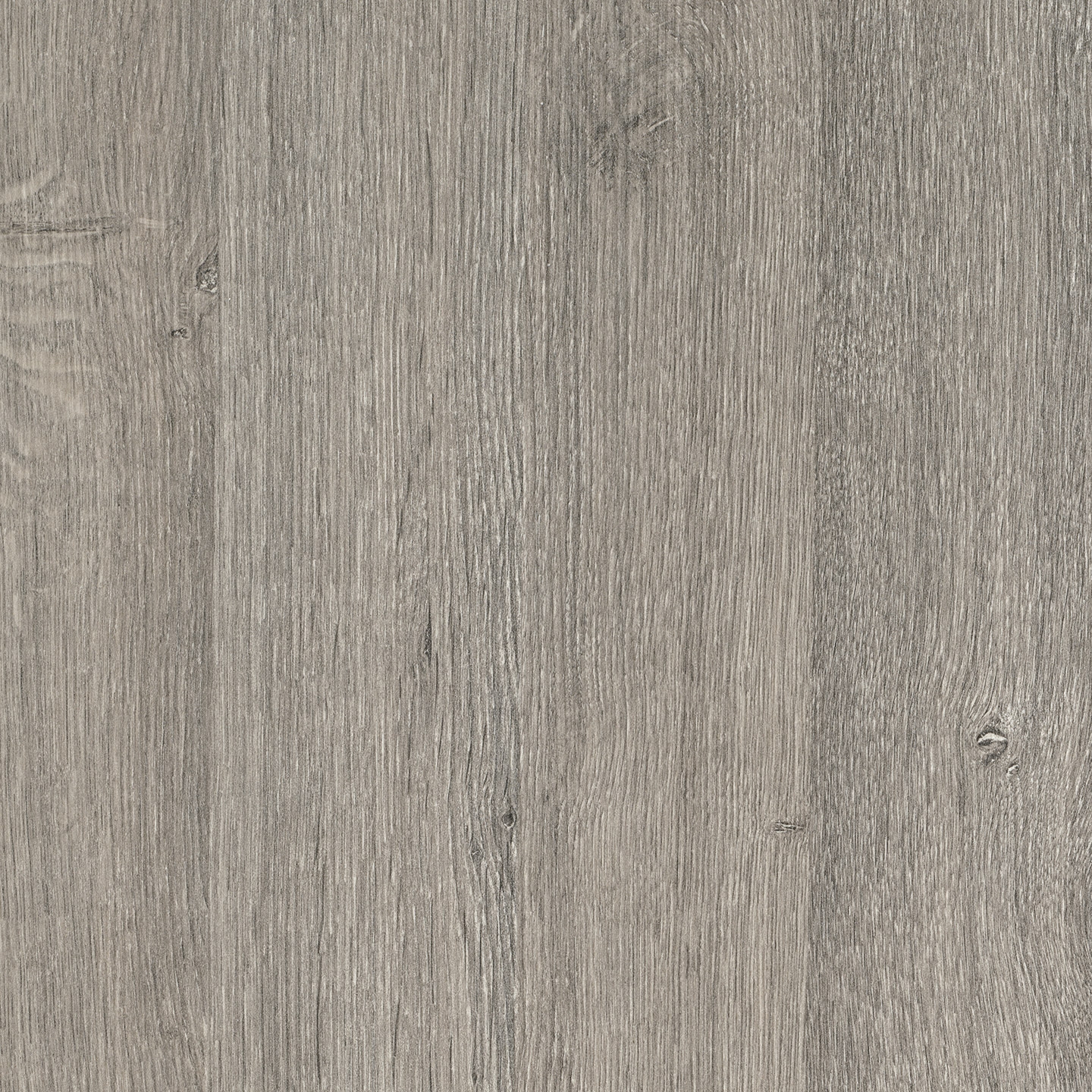 Produkt RESOPAL Woods | Silver Oak des Herstellers Resopal anzeigen