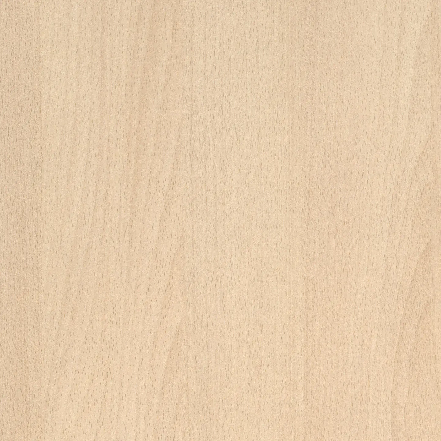 Resopal - RESOPAL Woods | Platin Beech