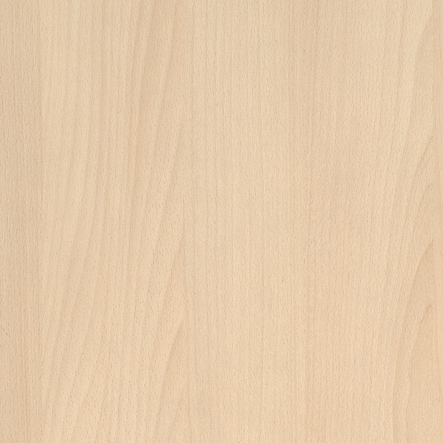 Display product RESOPAL Woods | Platin Beech from manufacturer Resopal