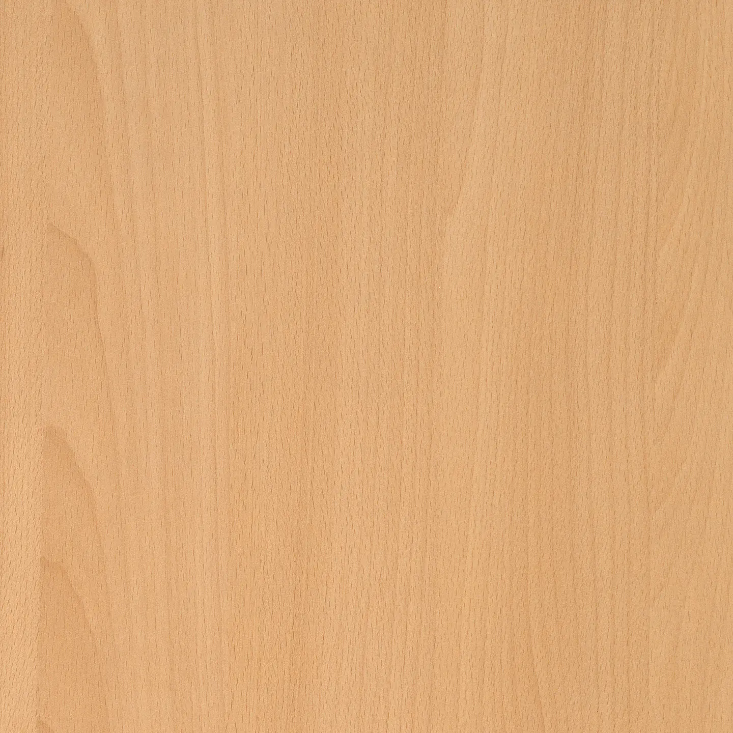 Resopal - RESOPAL Woods | Global Beech