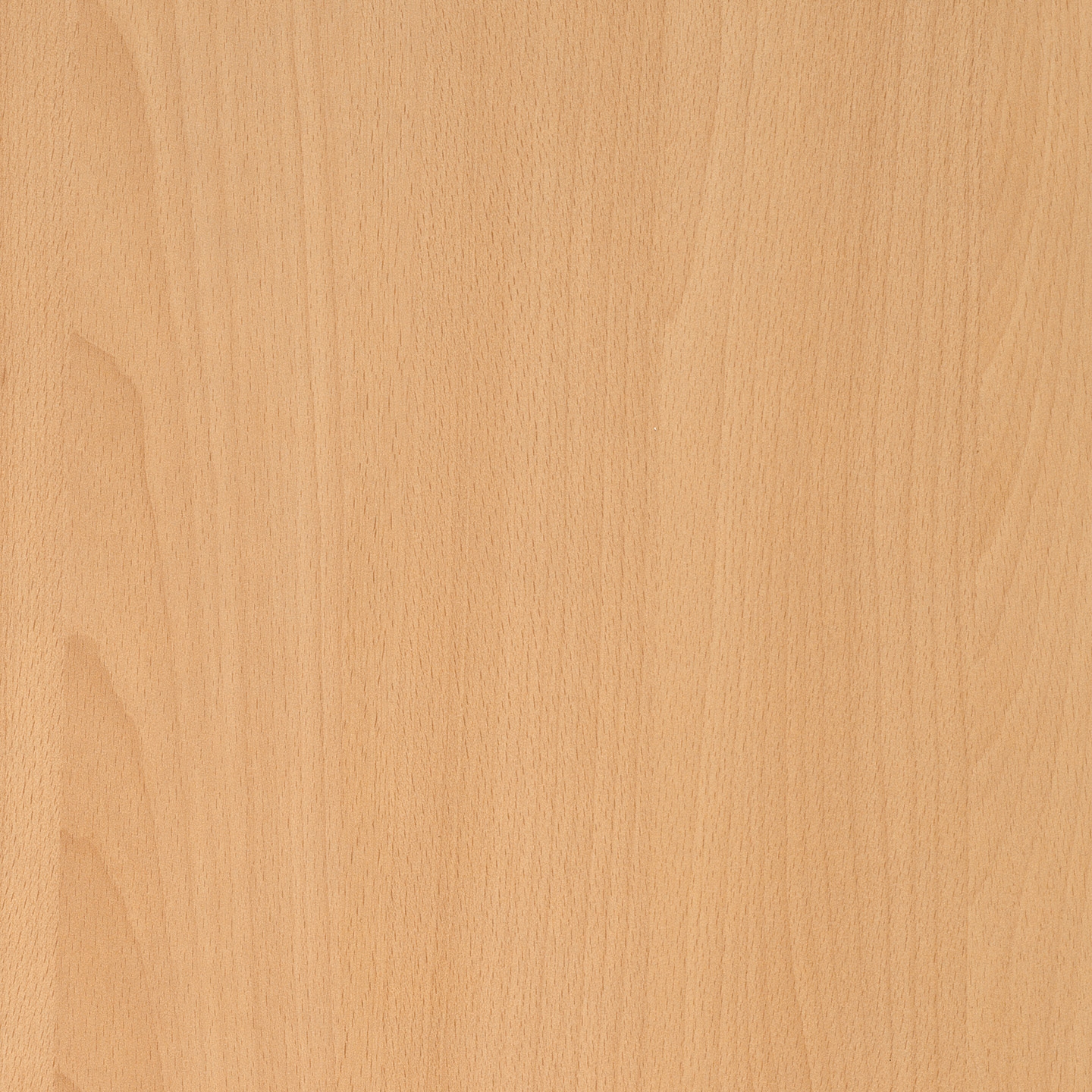 Display product RESOPAL Woods | Global Beech from manufacturer Resopal